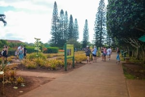 Honolulu: Tour guidato di un giorno intero dell'isola di Oahu in autobus con pranzo