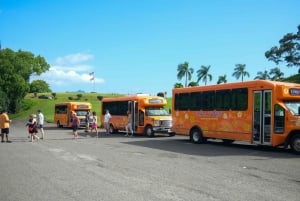 Honolulu: Oahun saaren koko päivän opastettu bussikierros lounaalla.
