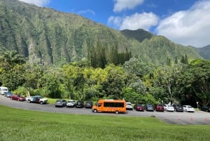 Honolulu: Oahu Island heldagsguidning med buss och lunch