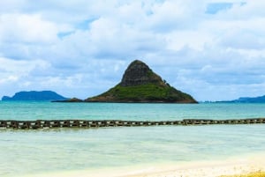 Honolulu: Oahu Island Full-Day Guided Tour by Bus with Lunch