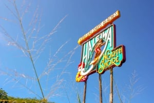 Honolulu: Excursão guiada de 1 dia à ilha de Oahu em autocarro com almoço