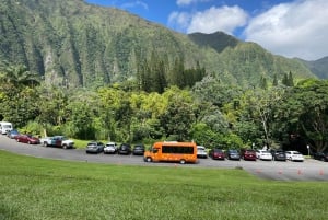 Honolulu: Excursão guiada de 1 dia à ilha de Oahu em autocarro com almoço