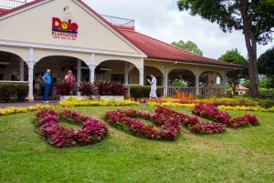 Honolulu: Hoogtepunten van het eiland Oahu Tour met meerdere stops
