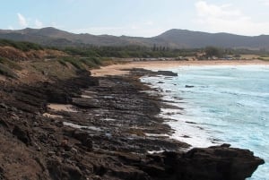 Honolulu: Hoogtepunten van het eiland Oahu Tour met meerdere stops