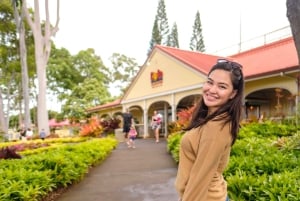 Honolulu: Hoogtepunten van het eiland Oahu Tour met meerdere stops