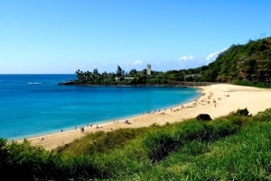 Honolulu: Hoogtepunten van het eiland Oahu Tour met meerdere stops