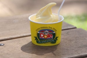 Honolulu: zwiedzanie Oahu i kulinarna wycieczka po wyspie