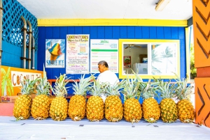 Honolulu: zwiedzanie Oahu i kulinarna wycieczka po wyspie