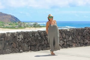 Honolulu: tour dell'isola di Oahu Sights and Bites