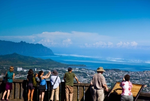 Honolulu: Oahu Sights and Bites Island Tour