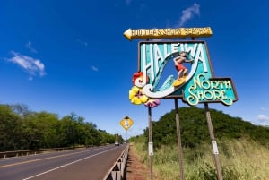 Honolulu: Oahu Sights and Bites Island Tour