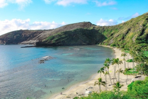 Honolulu: Oahu Sights and Bites Island Tour