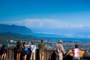 Honolulu: Oahu Sights and Bites Island Tour