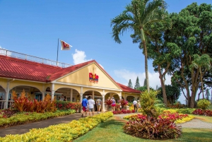Honolulu: Oahu Sights and Bites Island Tour