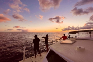 Honolulu: O'ahu West Coast Whale Watching and Sunset Cruise