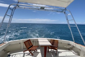 Honolulu: Private Luxury Yacht Cruise with Guide