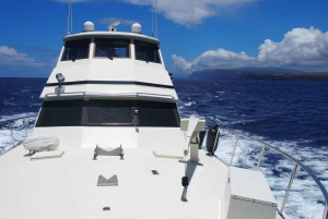 Honolulu: Private Luxury Yacht Cruise with Guide