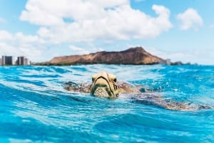 Oahu: Private Catamaran Sunset Cruise with A Guide