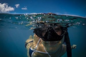 Honolulu: Private Waikiki Boat Cruises for up to 6 People