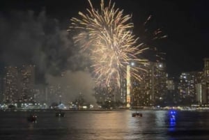 Honolulu: Private Waikiki Boat Cruises for up to 6 People