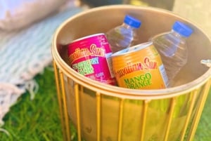 Гонолулу: уединенный роскошный пикник на пляже и живопись