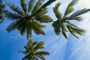 Гонолулу: уединенный роскошный пикник на пляже и живопись