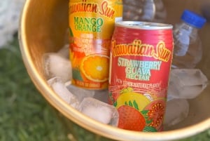 Гонолулу: уединенный роскошный пикник на пляже и живопись