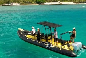 Honolulu: Small-Group Whale Watching Raft Adventure