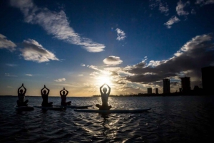 Honolulu: Sunset SUP Yoga Class