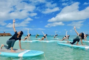 Honolulu: SUP (Standup Paddleboard) Yoga Class