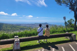 Honolulu : circuit en vélo électrique « Tantalus Lookout » (des montagnes à l'océan)