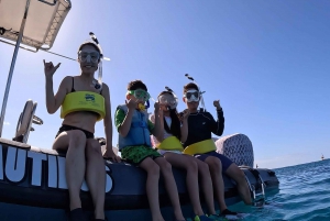 Honolulu: Turtle Canyon Snorkeling Semi-Private Boat Tour