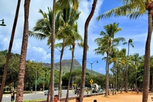 Honolulu: Waikiki mat-tur med lokal guide