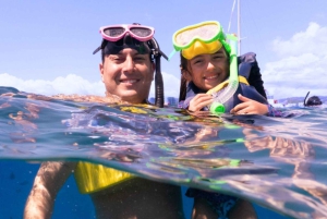 Honolulu> Wycieczka z nurkowaniem i pływaniem do Kanionu Żółwi Waikiki