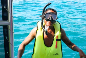 Honolulu> Wycieczka z nurkowaniem i pływaniem do Kanionu Żółwi Waikiki