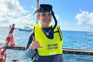 Honolulu> Wycieczka z nurkowaniem i pływaniem do Kanionu Żółwi Waikiki