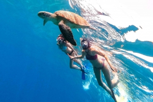 Honolulu: Waikiki Turtle Snorkeling Tour & 30ft Jump