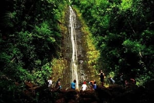 Visite de la forêt tropicale d'Honolulu : Visite guidée audioguide