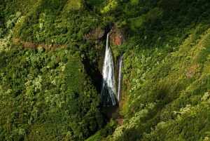 Kauai: Voo de helicóptero Hughes 500 para 4 passageiros com portas abertas