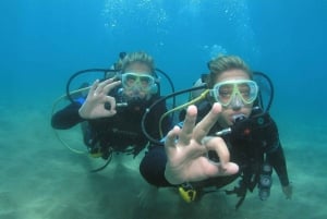 Lahaina : Intro Scuba Reef Dive Kaanapali pour les bons nageurs