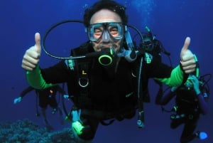 Lahaina : Intro Scuba Reef Dive Kaanapali pour les bons nageurs