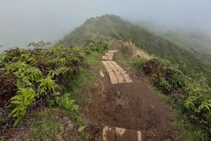 Island of Maui Customized Half-Day Private Tour