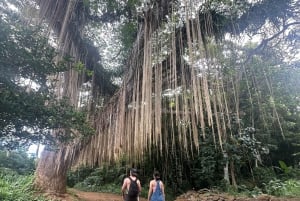 Island of Maui Customized Half-Day Private Tour