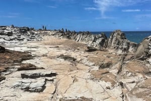 Island of Maui Customized Half-Day Private Tour