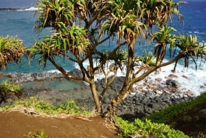Island of Maui Customized Half-Day Private Tour
