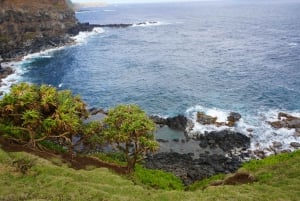Island of Maui Customized Half-Day Private Tour