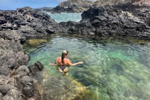 Island of Maui Customized Half-Day Private Tour
