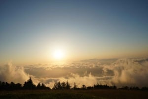 Island of Maui Customized Half-Day Private Tour