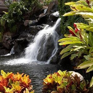 Kaanapali Beach Club