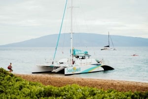 Ka'anapali Beach: Express Snorkel Trip